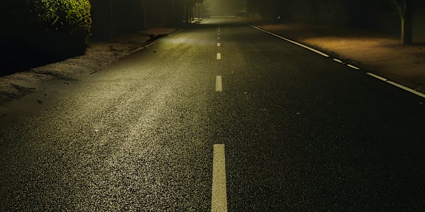 Not Caroline They were supposed to kidnap Caroline, but found Angie