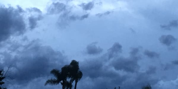  Through autumn gale
I chase life
Collecting dandelion dreams
Scattered in