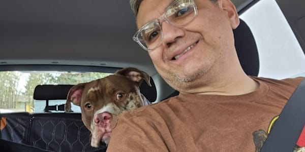 If I'm beig honest... Many times in our lives we have to choose our words