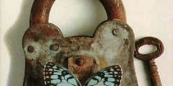 PAPILLON - INSPIRATION - MERCHANT NAVY -70'S