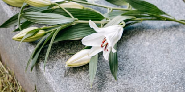 LOSS IS SO LOUD Loss is so loud it is deafeningA symphony of hurt and