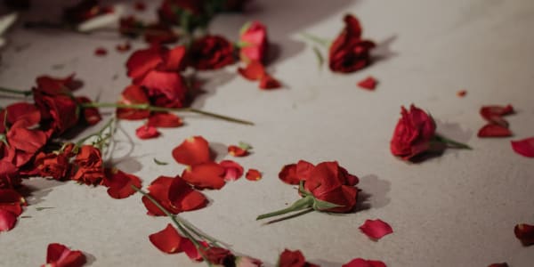  I packed my past
in ripped rosebuds
and let them drift away