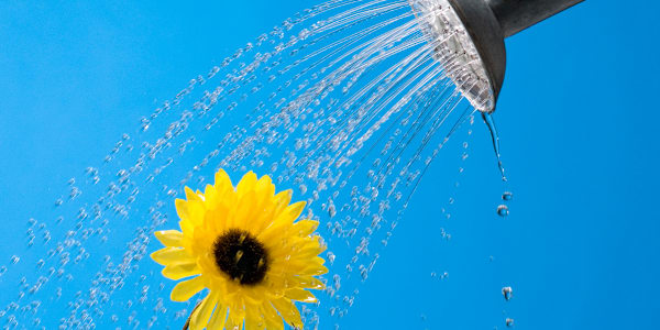 The Other Aunt Mary When my niece, Rachel, was growing up, she had two Aunt