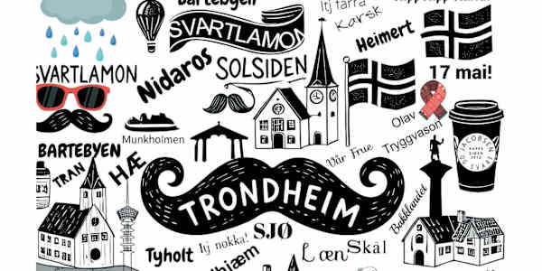 My book 'The Trønders' is out in Norwegian too now! Want to learn more?
