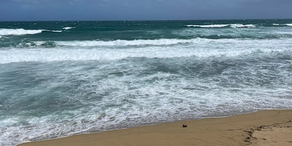 The Power of Prayer: How to Strengthen Your Connection with God By César