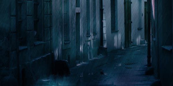 Behind the Scenes: A Week of Discovery The author’s life is, at its core, a