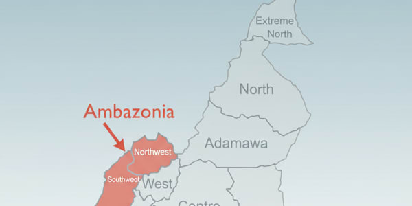 A Review of Asongu’s Forced Unity By George N. LekefacIn contemporary