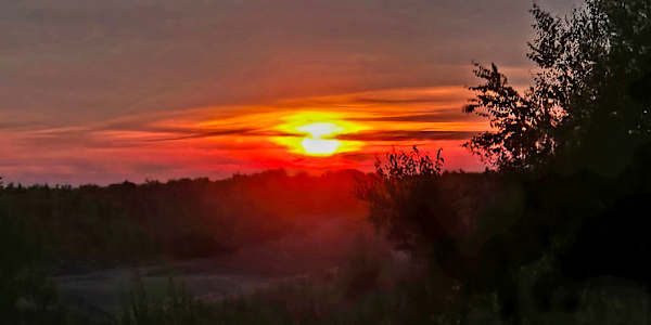 Canada's Sasquatch  Legend has it that deep within the dense wilderness,