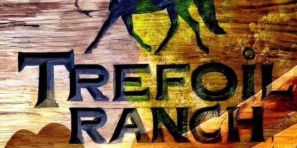New Book 'Trefoil Ranch: Where Hearts Ride Wild!' just released. Grab your