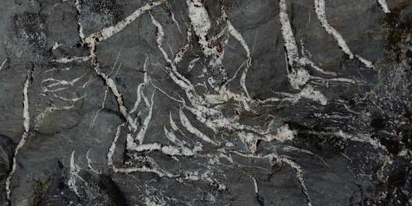 Cold Bones Cold falls upon the world,&nbsp;And the average person curses