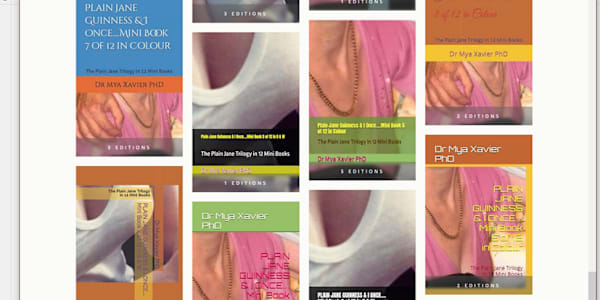 What AI had to say about my Legal Sanctity of Marriage Series:- Book 4