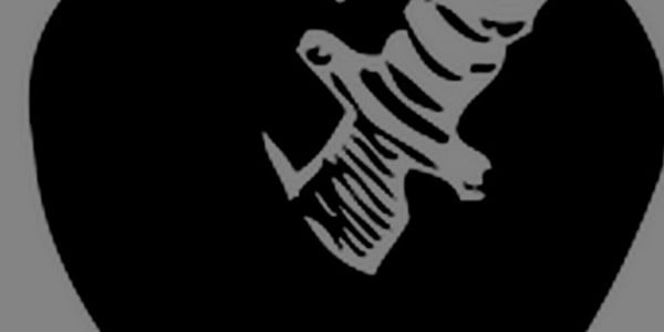 Sudden Interest Where None Had Lived  Oh the sudden interest …&nbsp;And