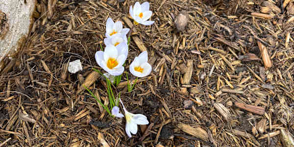 April is Special April is a special month for me. My birthday is April 3. I