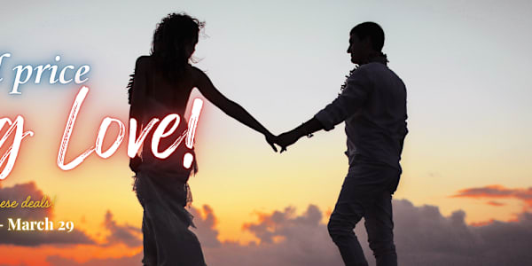 Book Funnel Promotion: Small Price... Big Love Wholesome/No-Heat, Small