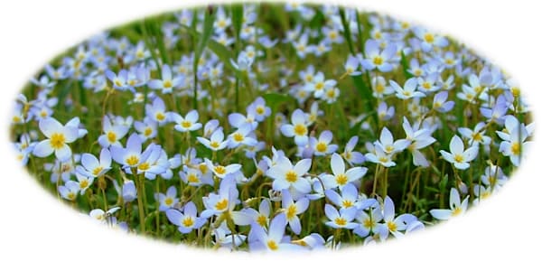 Idle Chit-Chat &nbsp;I’ve never had a hard time with idle chit-chat while