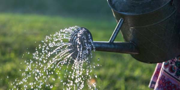 How Habits Are Built... And Why Discipline Matters More Than Motivation