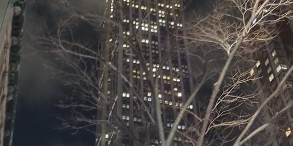 Tall Is Not the Only Big An exploration of the female power structure as a