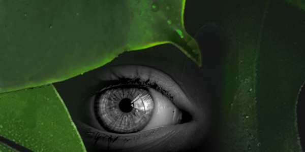 AN ENCOUNTER WITH THE WILD An Encounter with the Wild is a gripping