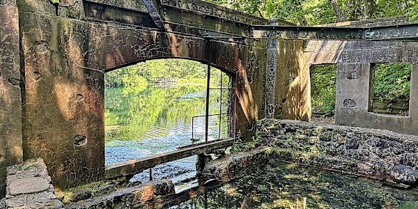 Oddsconsin 58 – Paradise Springs Resort Hotel For me tonight there'll be no