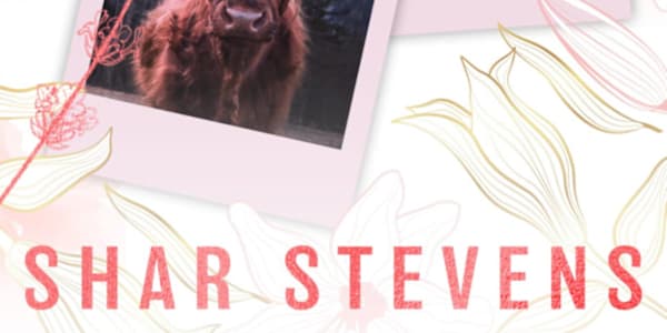 Finding Mine (Goldfield Springs book 1) FINDING