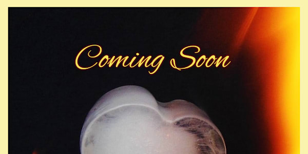 New from the Bluestocking Belles & Friends - Love's Perilous Road The