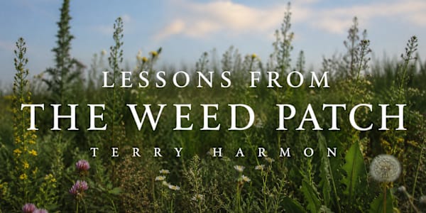 LESSONS FROM THE WEED PATCH (6/15/2026) This past weekend, I completed a