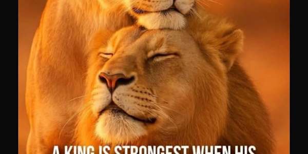 A TRIBUTE TO ANTHONY FROM HIS PARTNER NIDA 'TRUE LOVE IS ETERNAL'  
       