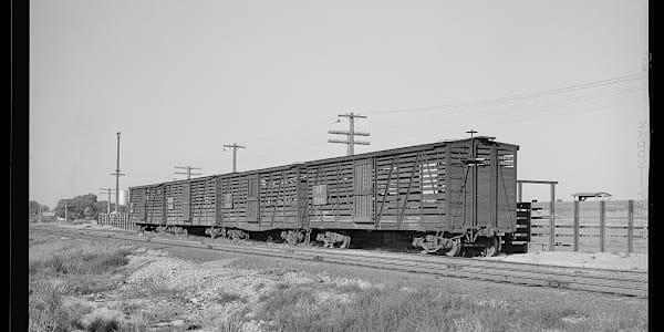 Willcox Arizona Cattle Trains and the Sulphur Springs Valley Willcox