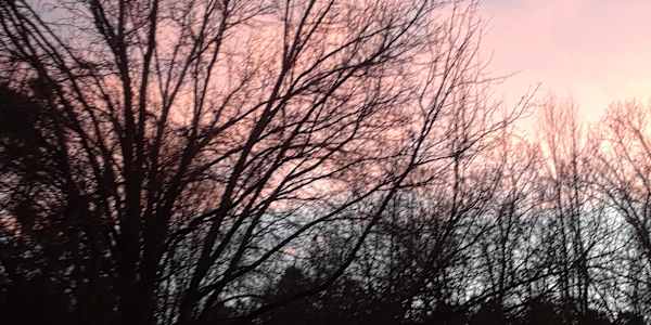 Thankful For Many Things Here in the US, Thanksgiving is just around the