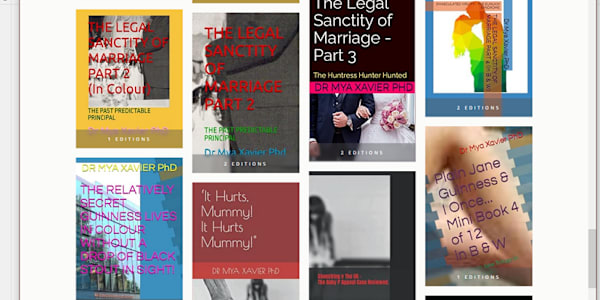 What AI had to say about my Legal Sanctity of Marriage Series:- Book 6