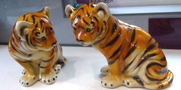 Tigers "My mother gave me one of her you're crazy looks and insisted the
