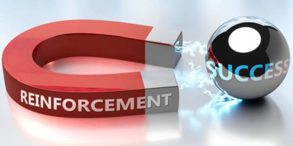 The Power of Reinforcement. Reinforcement can be either good or bad. It all