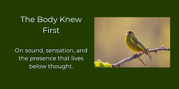 The Body Knew First On sound, sensation, and the presence that lives below