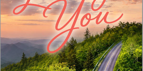 Interested in being an advanced reader for The Final Act of Loving You, an