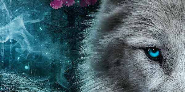 Everwolf Available October 6th Everwolf arrives October 6th! Preorder