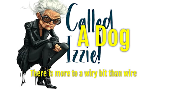 A Dog Called Izzy Than Wire The Glasgow boysYou can never have a big enough