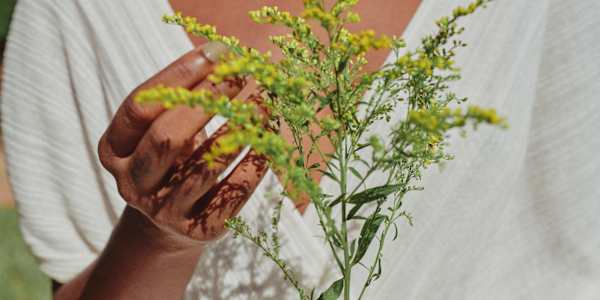 🌿5 Herbs to Soothe and Heal Summer Skin 1️⃣ Aloe Vera&nbsp;Aloe vera is the