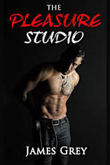 The Pleasure Studio