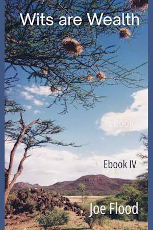 Wits are Wealth: Ebook IV 