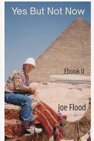 Yes But Not Now: Ebook II 