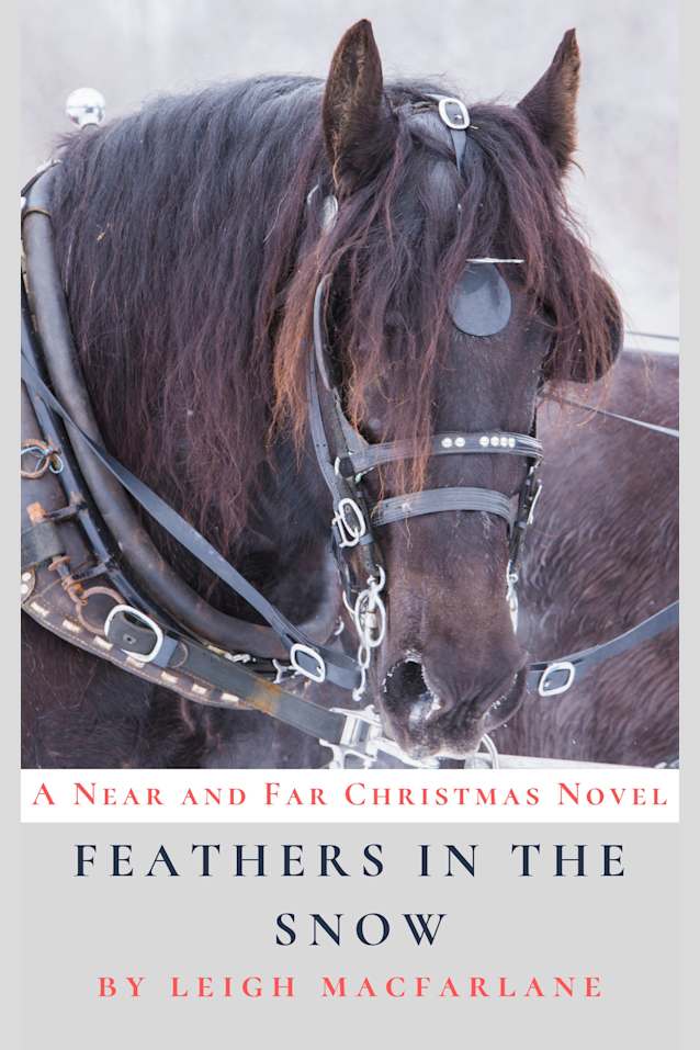 Feathers in the Snow