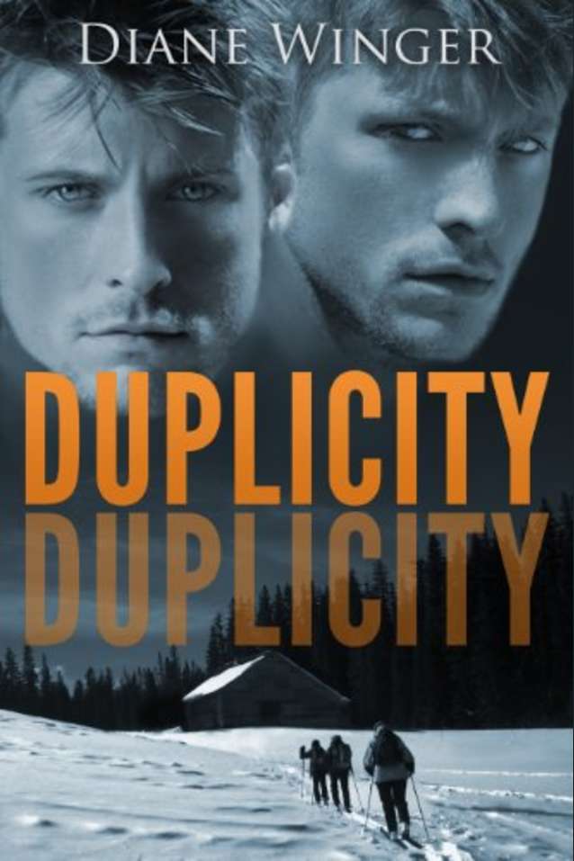 Duplicity (A FACES Novel Book 2)