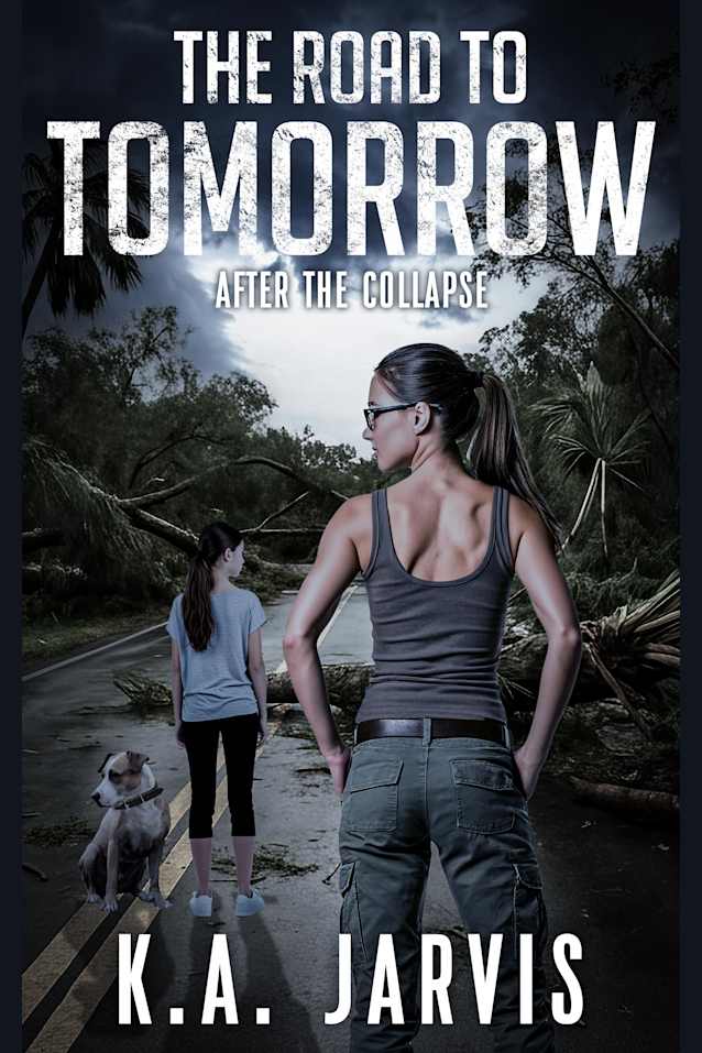 The Road to Tomorrow: After the Collapse