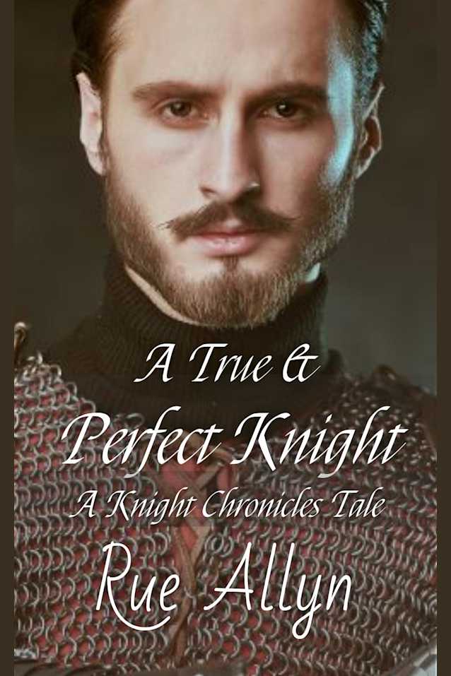 A True and Perfect Knight (Knight Chronicles, #0)