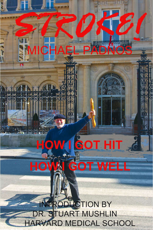 Stroke! How I Got Hit, How I Got Well