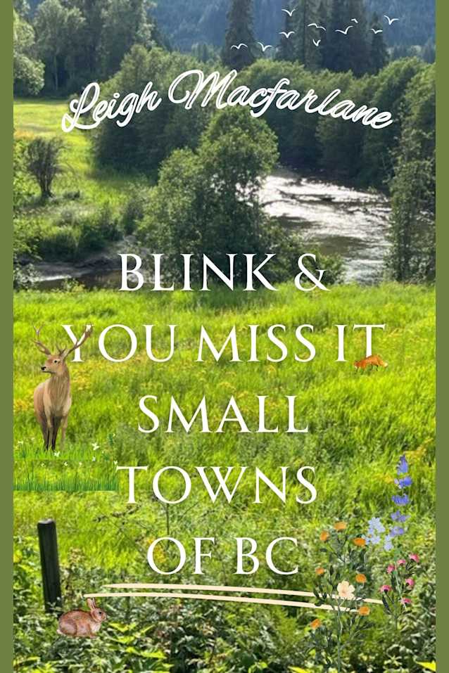 Blink & You Miss It Small Towns of BC