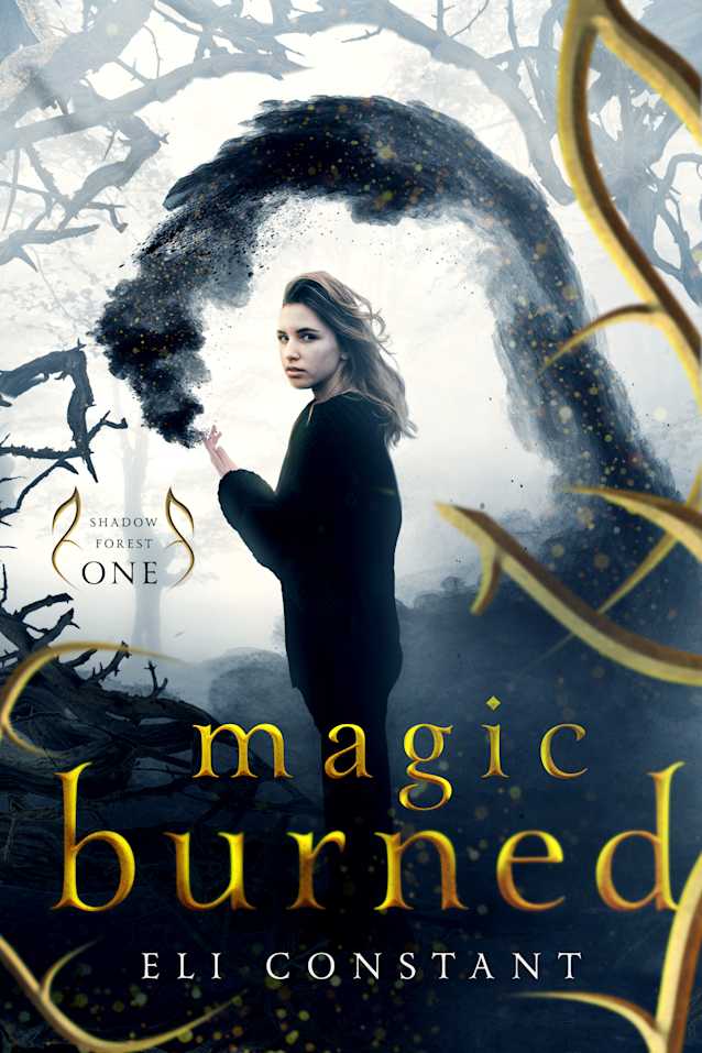 Magic Burned (Shadow Forest Book 1)