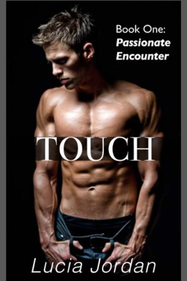 Touch : Passionate Encounter (BDSM Billionaire)