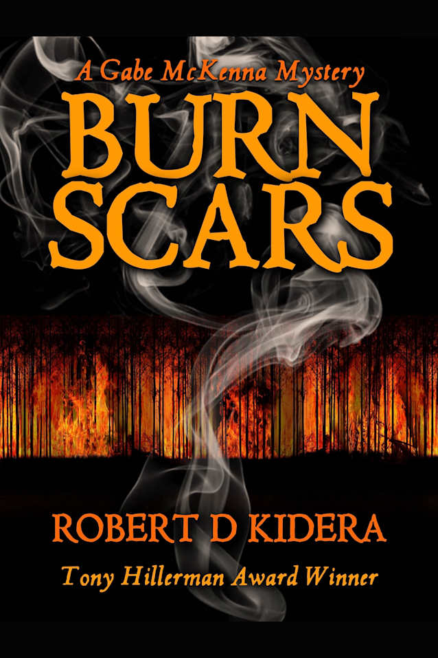 Burn Scars (Gabe McKenna Mystery Series Book 6)
