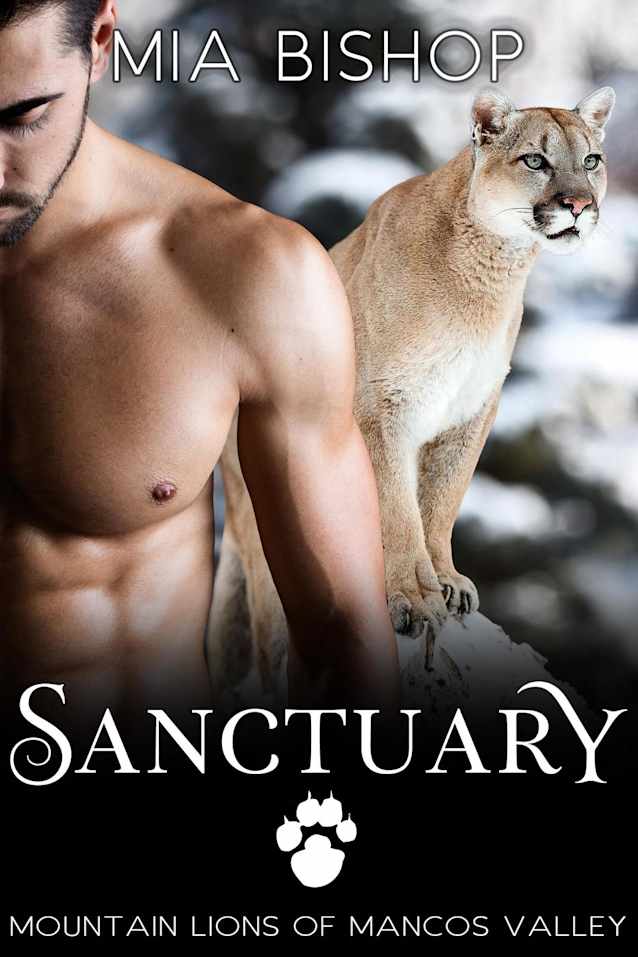 Sanctuary (Mountain Lions of Mancos Valley, #1)